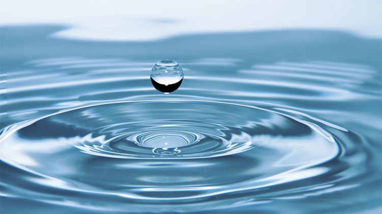 Voda – důležitá součást života